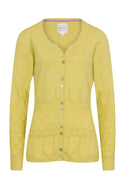 What A Notch Button Pointelle Cardi in Antique Moss