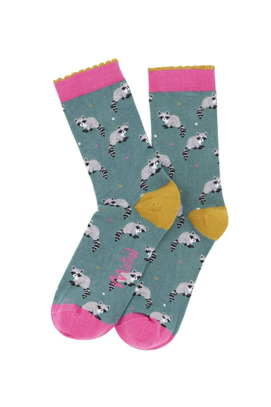 Racoon With Spot Sock