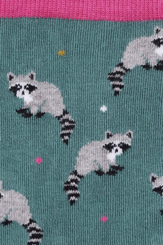 Racoon With Spot Sock