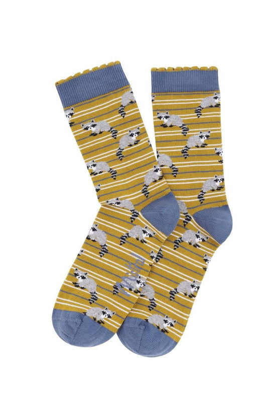 Racoon With Stripe Sock